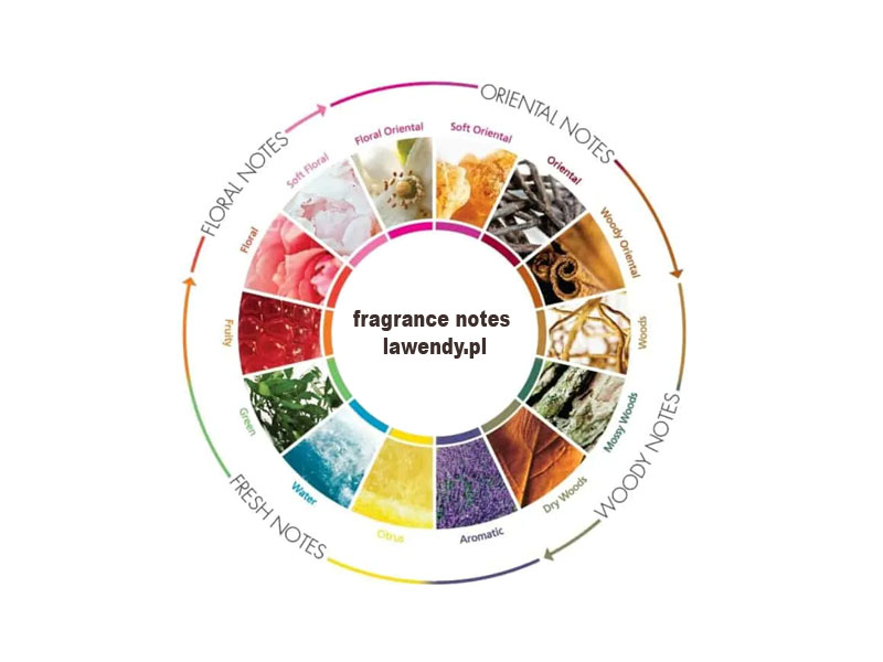Klasyfikacja nut zapachowych w perfumach